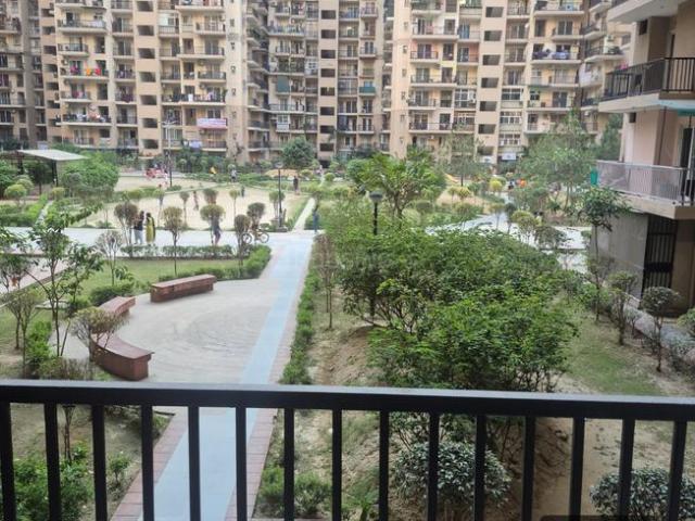 3 BHK Apartment in Noida Extension for rent Greater Noida. The reference number is 19988041