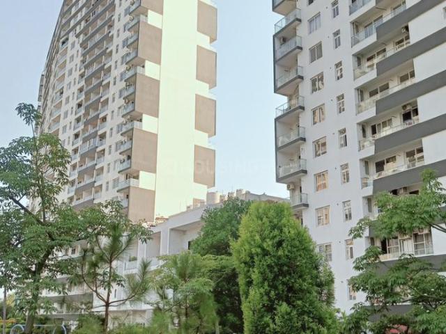 3 BHK Apartment in New Chandigarh for rent Chandigarh. The reference number is 20539101