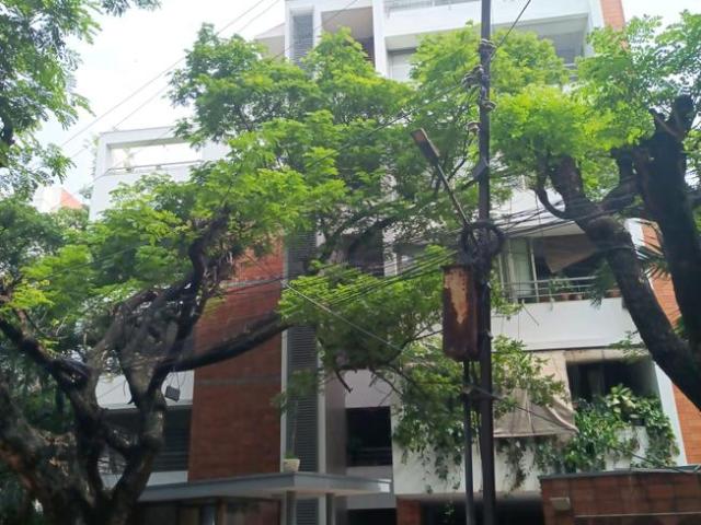 3 BHK Apartment in Somajiguda for rent Hyderabad. The reference number is 20358068