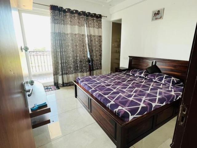 3 BHK Apartment in Sanauli for rent Zirakpur. The reference number is 19750182