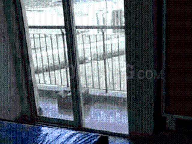 3 BHK Apartment in Sector 151 for rent Noida. The reference number is 14492658