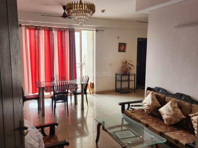 3 BHK Apartment in Sector 168 for rent Noida. The reference number is 20687409
