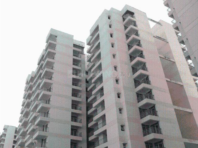 3 BHK Apartment in Sector 19 Dwarka for rent New Delhi. The reference number is 20099535