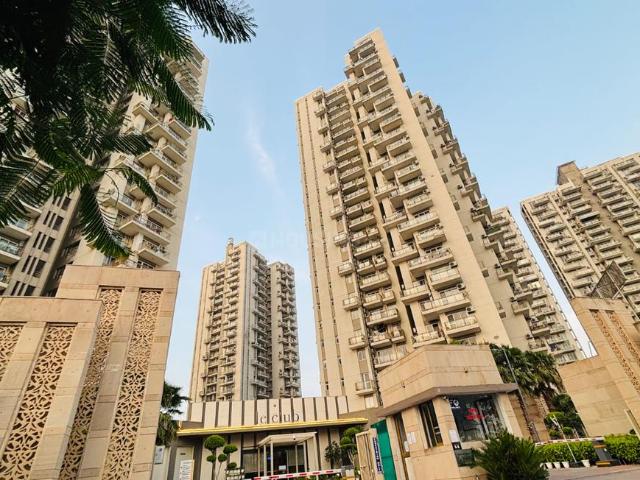 3 BHK Apartment in Sector 102 for rent Gurgaon. The reference number is 19498244