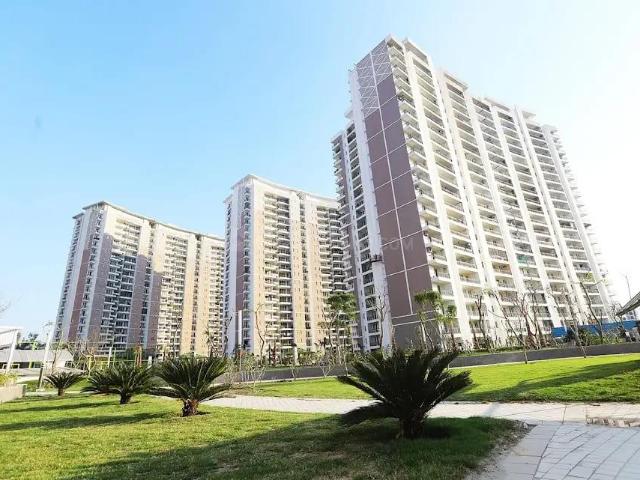 3 BHK Apartment in Sector 107 for resale Noida. The reference number is 20756686