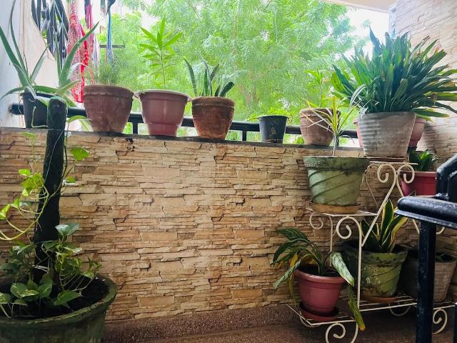 3 BHK Apartment in Sector 10 Dwarka for rent New Delhi. The reference number is 18355619