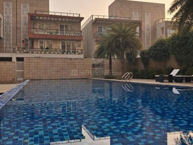 3 BHK Apartment in Sector 110A for rent Gurgaon. The reference number is 20206604