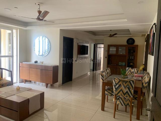 3 BHK Apartment in Sector 118 for rent Mohali. The reference number is 19520865