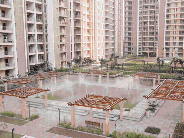 3 BHK Apartment in Sector 121 for rent Noida. The reference number is 20085062