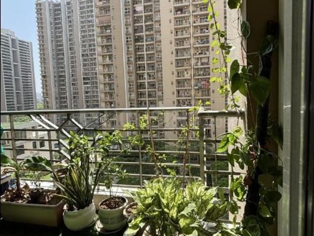 3 BHK Apartment in Sector 121 for resale Noida. The reference number is 20469812
