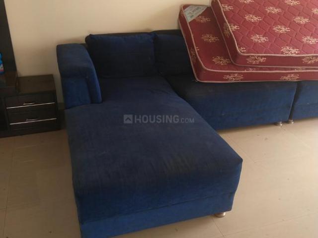 3 BHK Apartment in Sector 128 for rent Noida. The reference number is 19556485