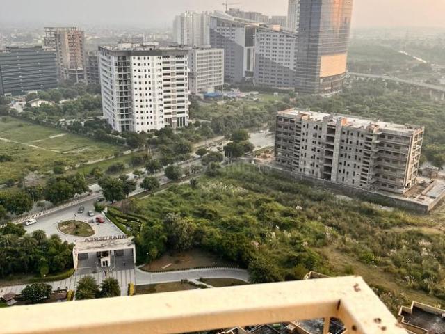 3 BHK Apartment in Sector 137 for rent Noida. The reference number is 19970889
