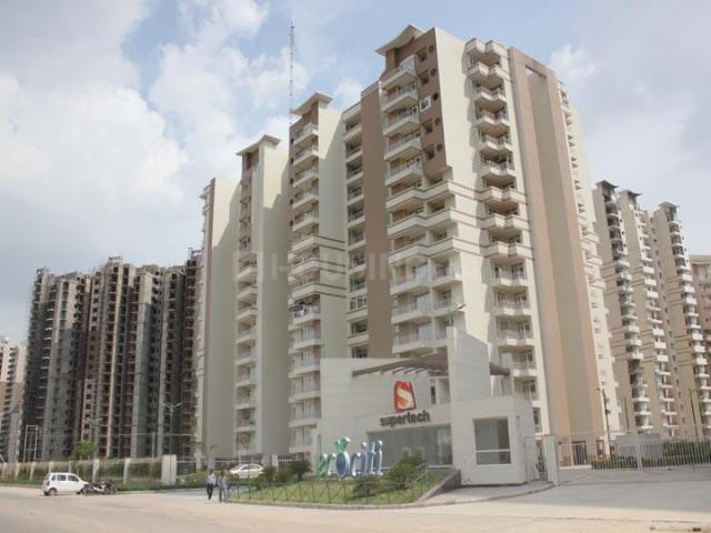 3 BHK Apartment in Sector 137 for resale Noida Greater Noida Expressway. The reference number is 17526331