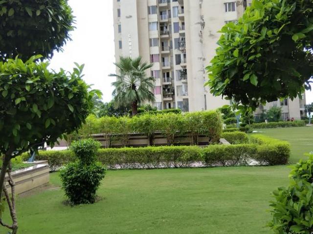 3 BHK Apartment in Sector 134 for rent Noida. The reference number is 20078766