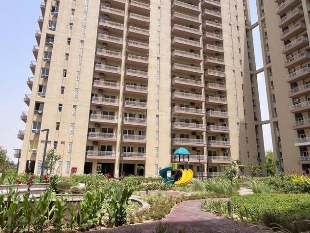 3 BHK Apartment in Sector 35 for resale Sohna. The reference number is 19261041