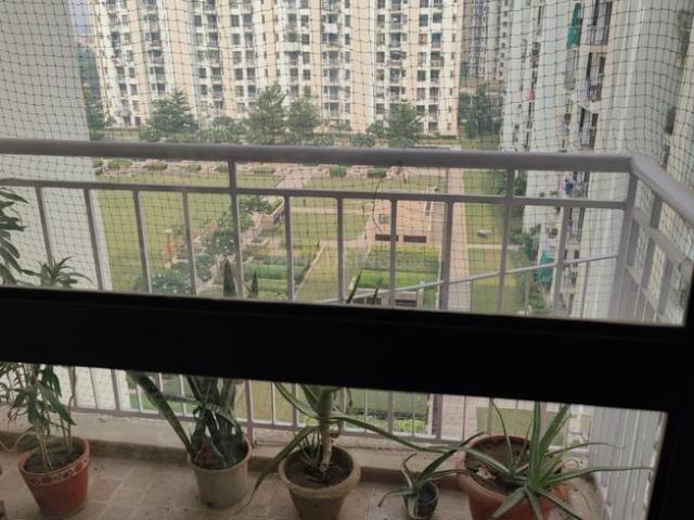 3 BHK Apartment in Sector 33 for rent Gurgaon. The reference number is 20208106