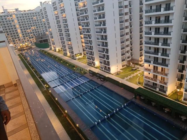 3 BHK Apartment in Sector 33 for resale Sohna. The reference number is 20687827