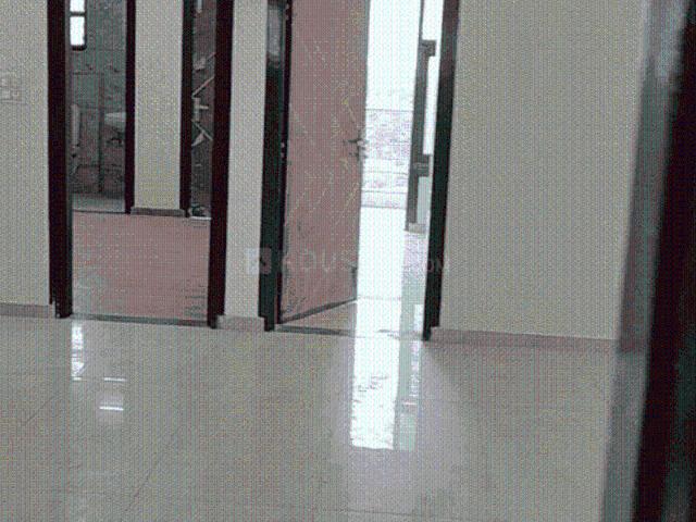 3 BHK Apartment in Sector 3 for rent Bahadurgarh. The reference number is 19226718