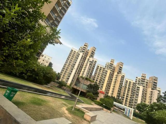 3 BHK Apartment in Sector 47 for rent Gurgaon. The reference number is 19279100