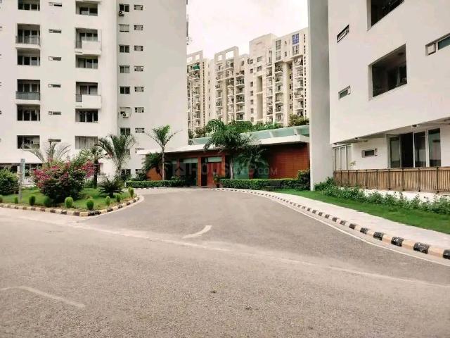 3 BHK Apartment in Sector 49 for rent Gurgaon. The reference number is 20304201