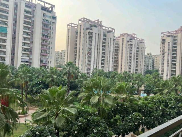 3 BHK Apartment in Sector 49 for resale Gurgaon. The reference number is 20072299