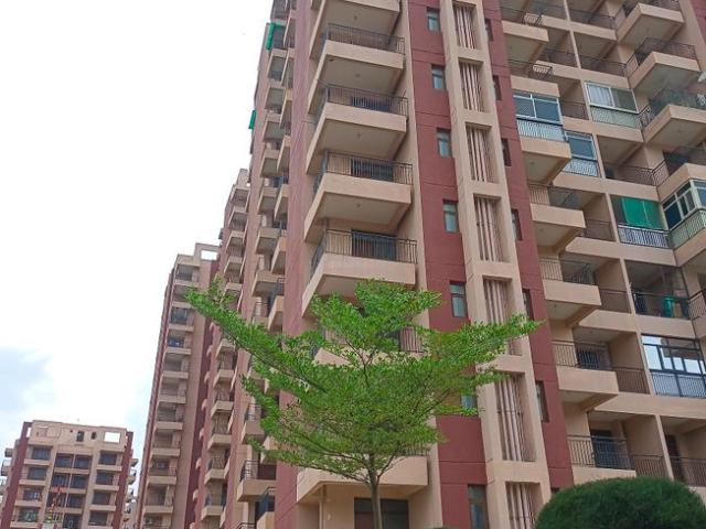 3 BHK Apartment in Sector 49 for resale Faridabad. The reference number is 17321278