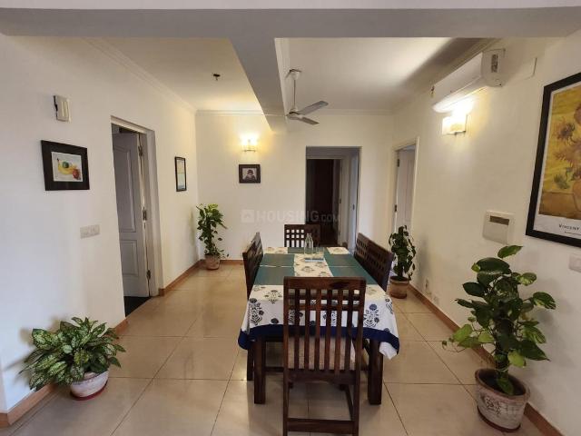 3 BHK Apartment in Sector 42 for rent Gurgaon. The reference number is 19964651
