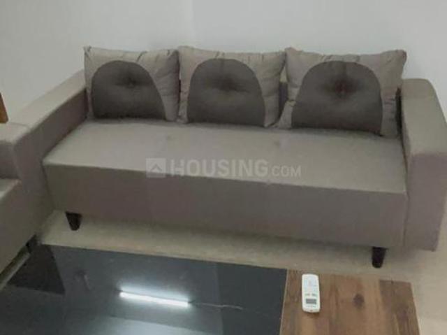 3 BHK Apartment in Sector 43 for rent Noida. The reference number is 20797654