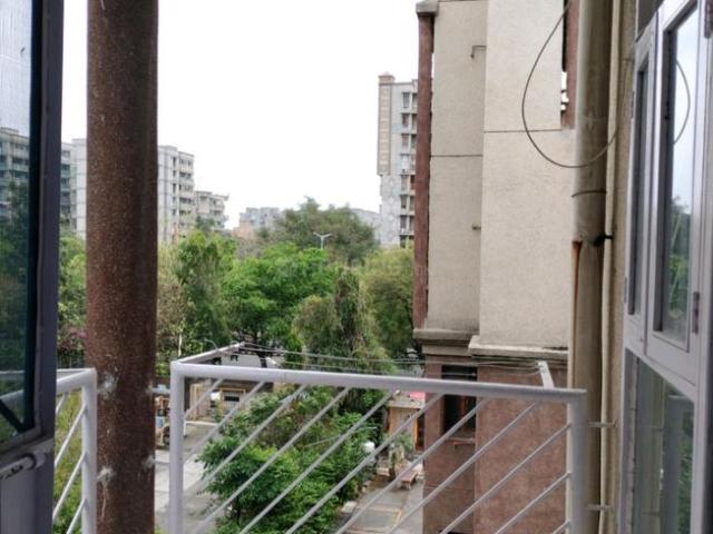 3 BHK Apartment in Sector 4 Dwarka for rent New Delhi. The reference number is 20614470