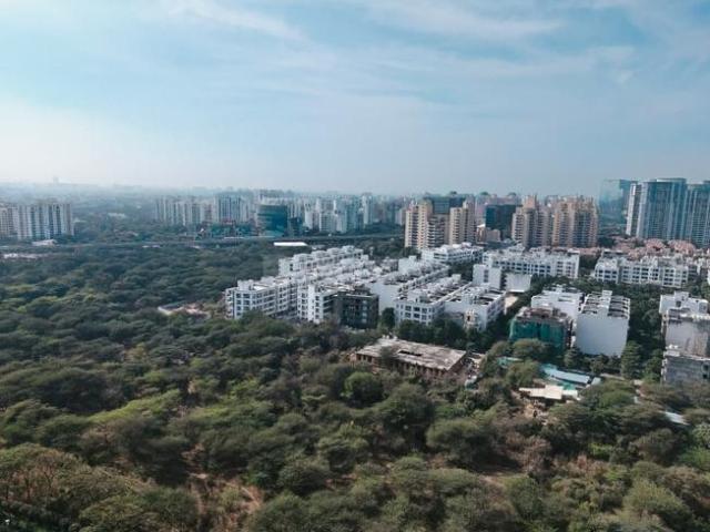 3 BHK Apartment in Sector 54 for rent Gurgaon. The reference number is 20286701
