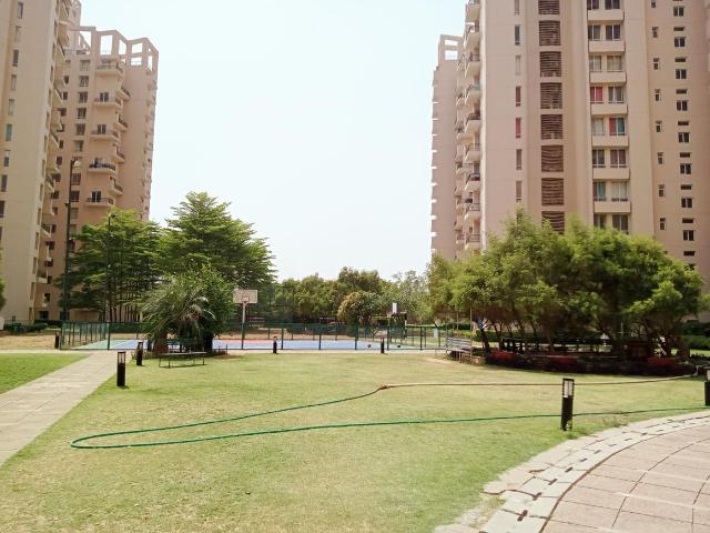 3 BHK Apartment in Sector 50 for rent Gurgaon. The reference number is 19989406