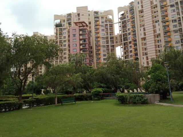 3 BHK Apartment in Sector 50 for rent Gurgaon. The reference number is 19989517