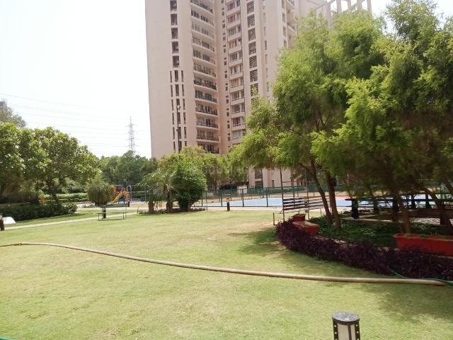 3 BHK Apartment in Sector 50 for rent Gurgaon. The reference number is 19989364