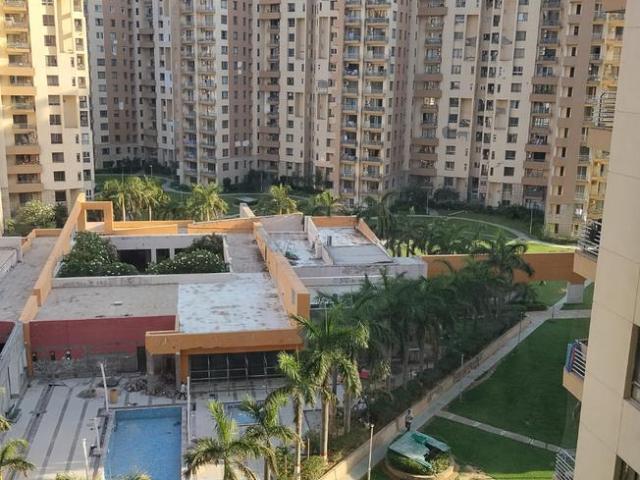 3 BHK Apartment in Sector 50 for rent Gurgaon. The reference number is 20162282