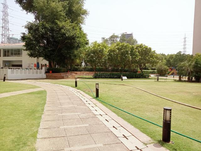 3 BHK Apartment in Sector 50 for rent Gurgaon. The reference number is 20260774