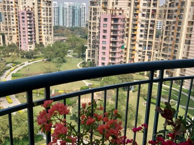 3 BHK Apartment in Sector 50 for resale Gurgaon. The reference number is 14509724