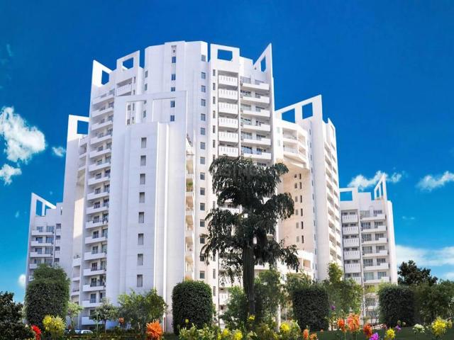 3 BHK Apartment in Sector 53 for resale Gurgaon. The reference number is 12924287