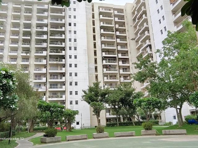 3 BHK Apartment in Sector 67 for rent Gurgaon. The reference number is 20653800