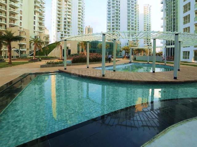3 BHK Apartment in Sector 67 for rent Gurgaon. The reference number is 20017610