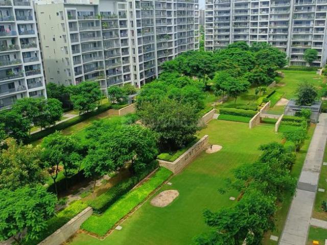 3 BHK Apartment in Sector 60 for rent Gurgaon. The reference number is 19623763