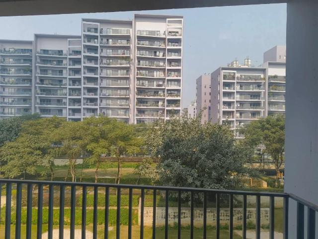 3 BHK Apartment in Sector 60 for rent Gurgaon. The reference number is 19667595