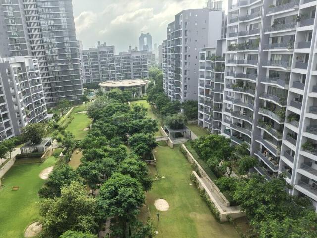 3 BHK Apartment in Sector 60 for rent Gurgaon. The reference number is 20034152