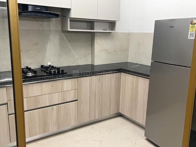 3 BHK Apartment in Sector 61 for rent Gurgaon. The reference number is 17798692