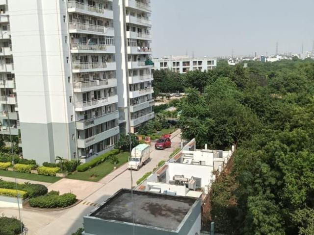 3 BHK Apartment in Sector 6 Dwarka for rent New Delhi. The reference number is 20920181