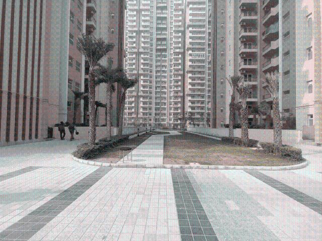 3 BHK Apartment in Sector 75 for rent Noida. The reference number is 19845312