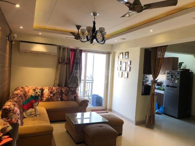 3 BHK Apartment in Sector 76 for rent Noida. The reference number is 20882773