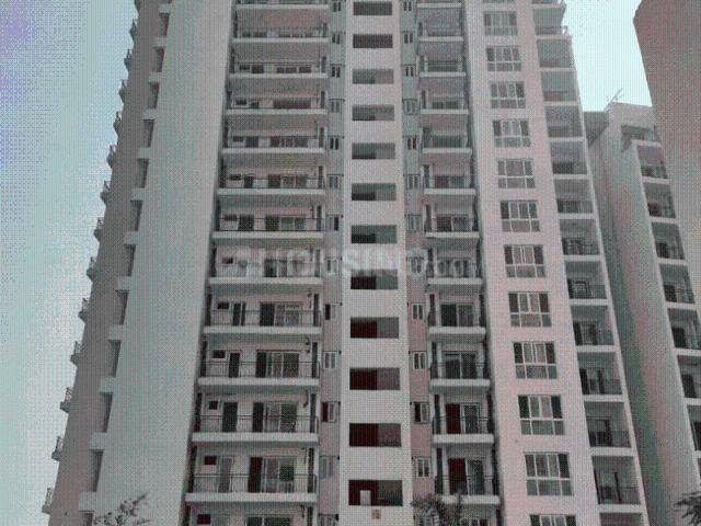 3 BHK Apartment in Sector 77 for resale Gurgaon. The reference number is 20255224