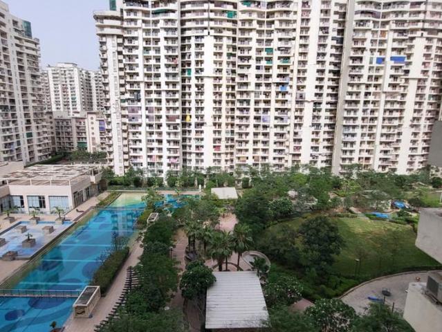 3 BHK Apartment in Sector 78 for rent Noida. The reference number is 19681359
