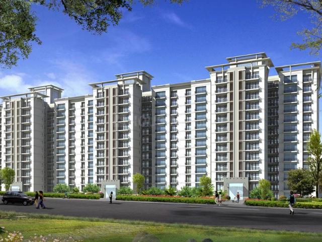 3 BHK Apartment in Sector 78 for rent Faridabad. The reference number is 20436865