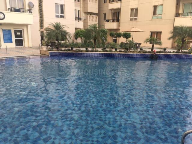 3 BHK Apartment in Sector 78 for resale Gurgaon. The reference number is 19771889